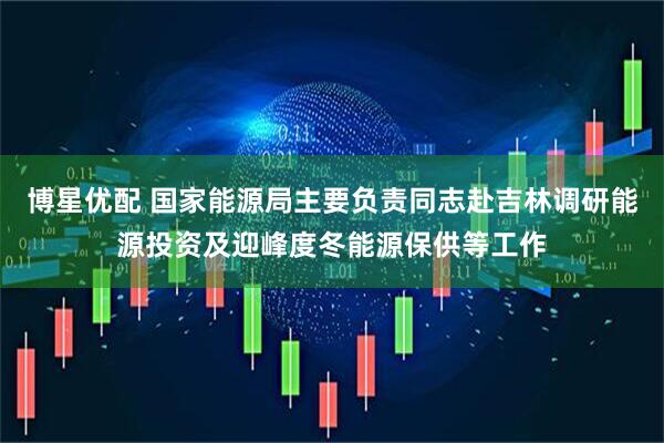 博星优配 国家能源局主要负责同志赴吉林调研能源投资及迎峰度冬能源保供等工作