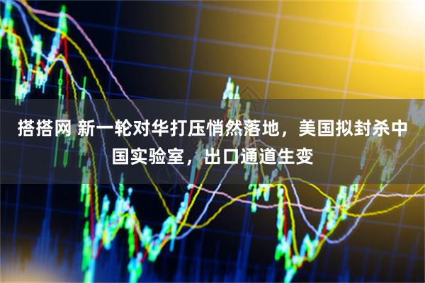 搭搭网 新一轮对华打压悄然落地，美国拟封杀中国实验室，出口通道生变