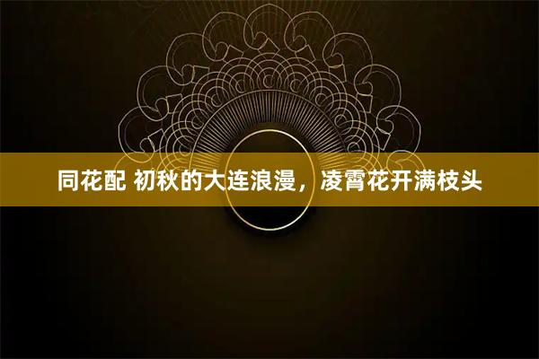 同花配 初秋的大连浪漫，凌霄花开满枝头